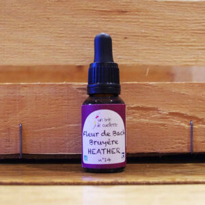 Fleure-de-Bach-Bruyere-Heather-2-Un-brin-de-Cueillette-Laure-GUILLOT-Paysanne-herboriste-Vosges