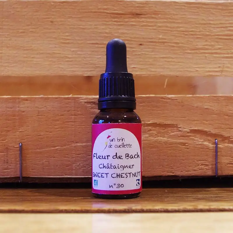 Fleure-de-Bach-Chataiguer-Sweet-Chestnut-2-Un-brin-de-Cueillette-Laure-GUILLOT-Paysanne-herboriste-Vosges