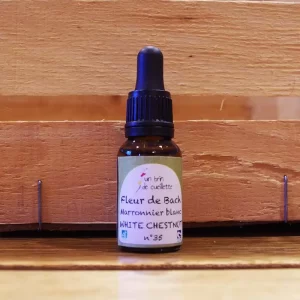 Fleure-de-Bach-Marronnier-Blanc-White-Chestnut-Un-brin-de-Cueillette-Laure-GUILLOT-Paysanne-herboriste-Vosges