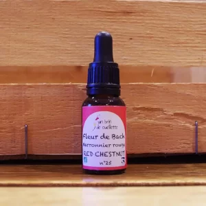 Fleure-de-Bach-Marronnier-Rouge-Red-Chestnut-Un-brin-de-Cueillette-Laure-GUILLOT-Paysanne-herboriste-Vosges