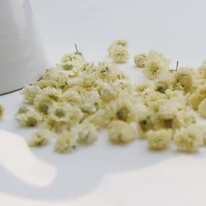 TISANE-CAMOMILLE-2-Un-brin-de-Cueillette-Laure-GUILLOT-Paysanne-herboriste-Vosges
