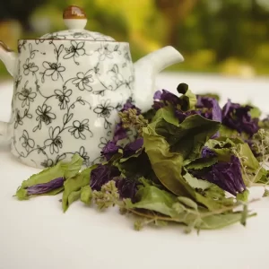 TISANE-DETOX-2-Un-brin-de-Cueillette-Laure-GUILLOT-Paysanne-herboriste-Vosges