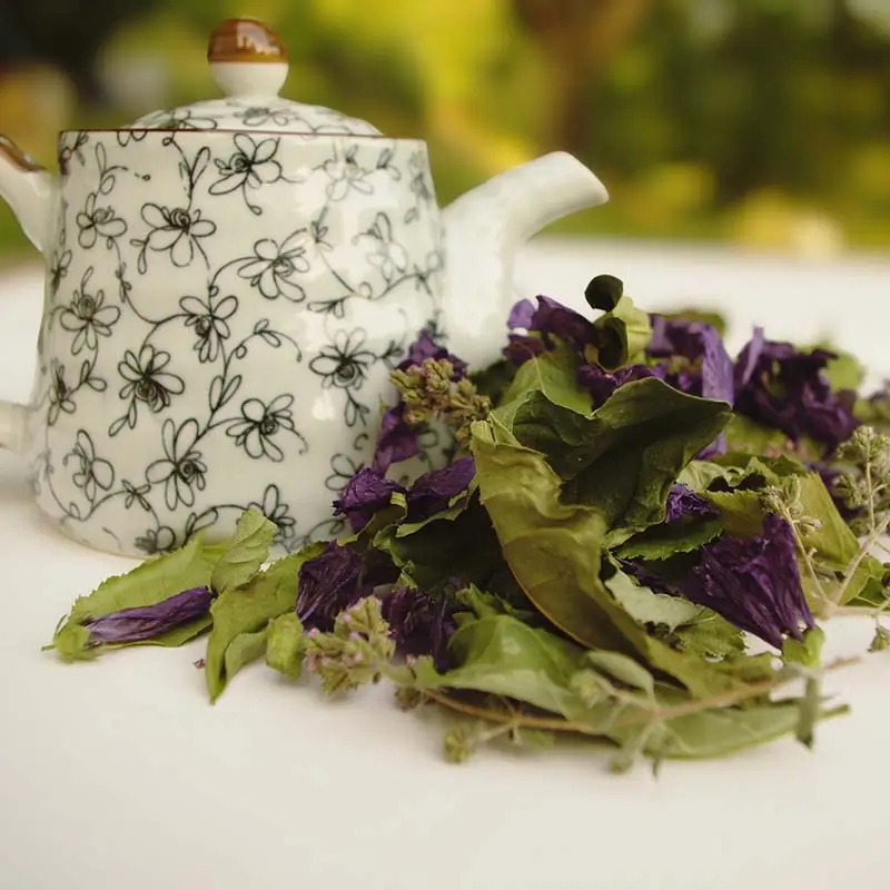 TISANE-DETOX-2-Un-brin-de-Cueillette-Laure-GUILLOT-Paysanne-herboriste-Vosges