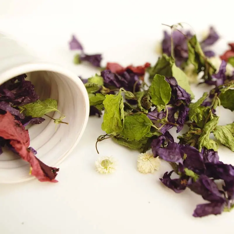 TISANE-DODO-2-Un-brin-de-Cueillette-Laure-GUILLOT-Paysanne-herboriste-Vosges