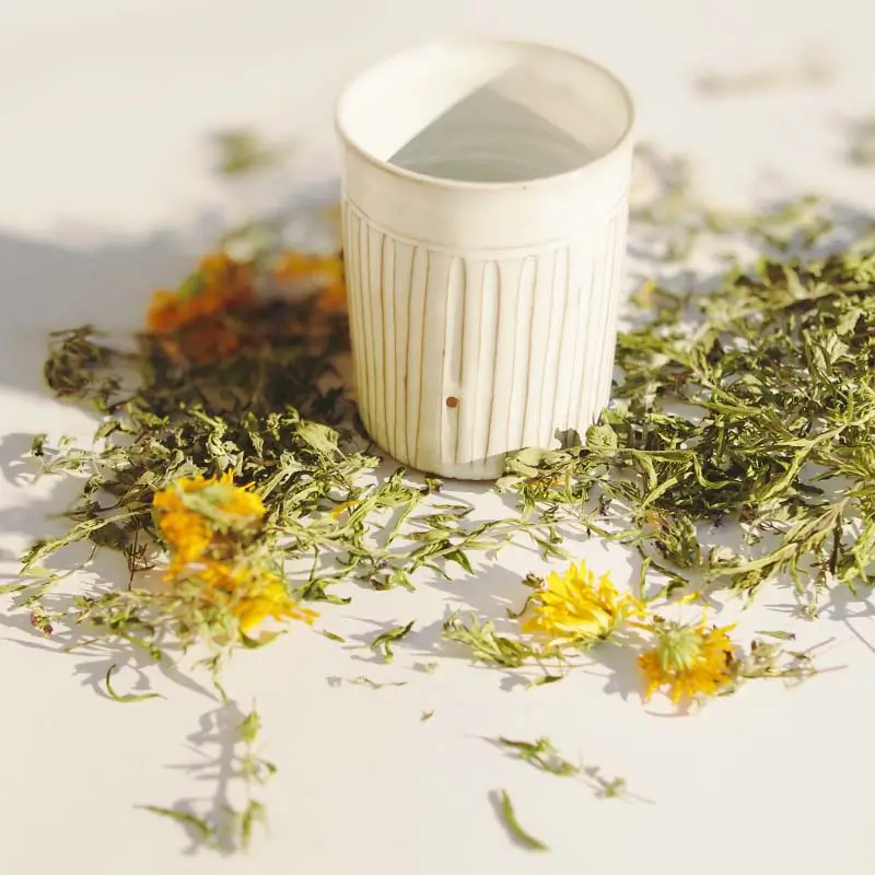 TISANE-Digeste-Un-brin-de-Cueillette-Laure-GUILLOT-Paysanne-herboriste-Vosges