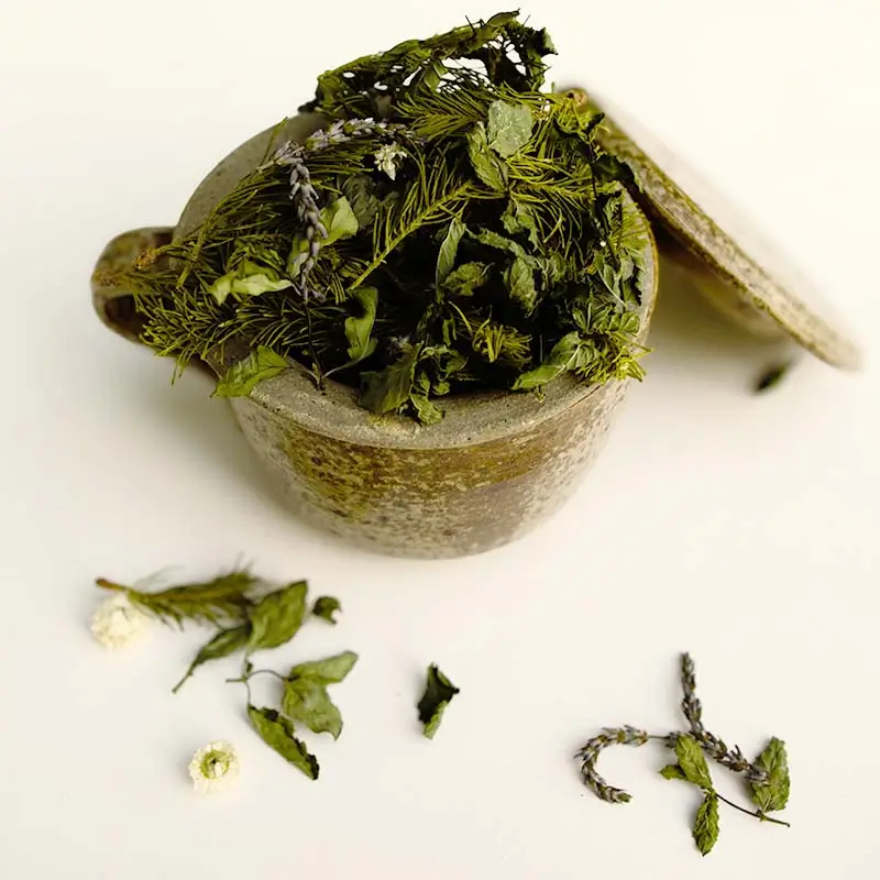 TISANE-EXPULSER-2-Un-brin-de-Cueillette-Laure-GUILLOT-Paysanne-herboriste-Vosges