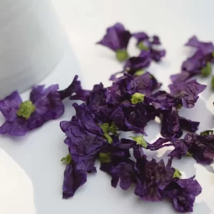 TISANE-JE-ME-RENOUVELLE-2-Un-brin-de-Cueillette-Laure-GUILLOT-Paysanne-herboriste-Vosges