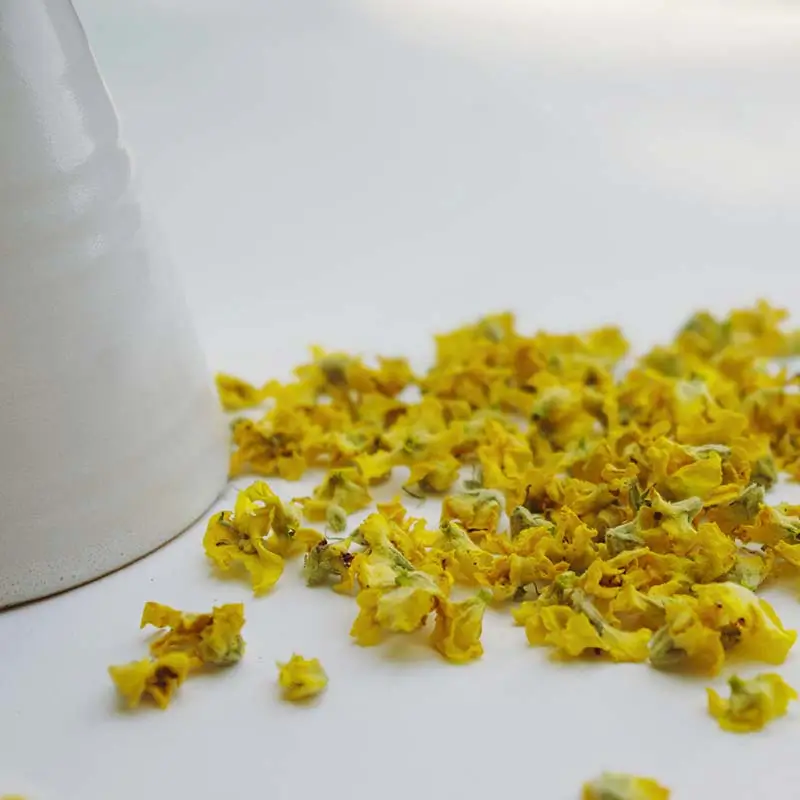 TISANE-JE-RAYONNE-2-Un-brin-de-Cueillette-Laure-GUILLOT-Paysanne-herboriste-Vosges