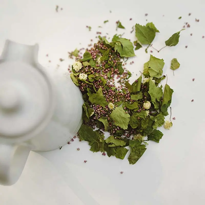 TISANE-RUISSEAUX-2-Un-brin-de-Cueillette-Laure-GUILLOT-Paysanne-herboriste-Vosges