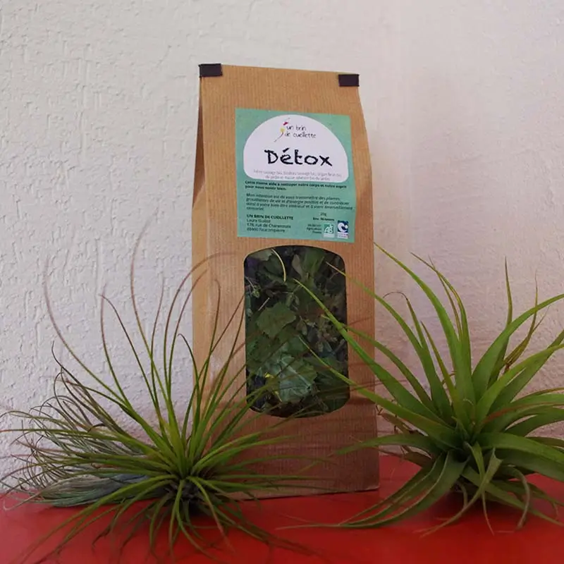 Tisane-Detox-Bio-Un-brin-de-Cueillette-Laure-GUILLOT-Paysanne-herboriste-Vosges