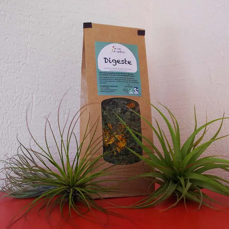 Tisane-Digeste-–-Digestion-Bio-Un-brin-de-Cueillette-Laure-GUILLOT-Paysanne-herboriste-Vosges