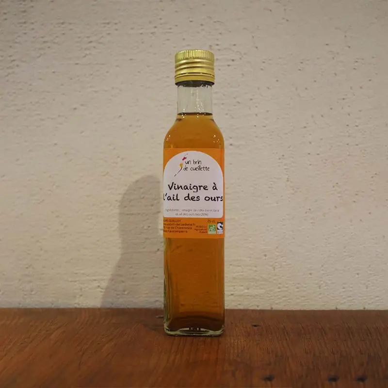 Vinaigre-a-lail-des-ours-Bio-Un-brin-de-Cueillette-Laure-GUILLOT-Paysanne-herboriste-Vosges